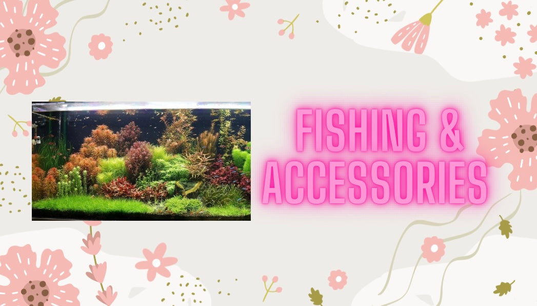 Fishing & accessories