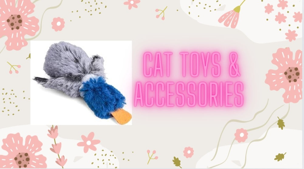 Cat toys & accessories