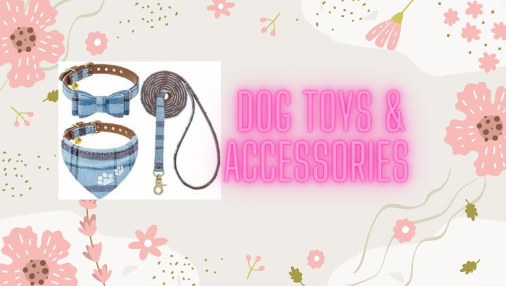 Dog toys & accessories