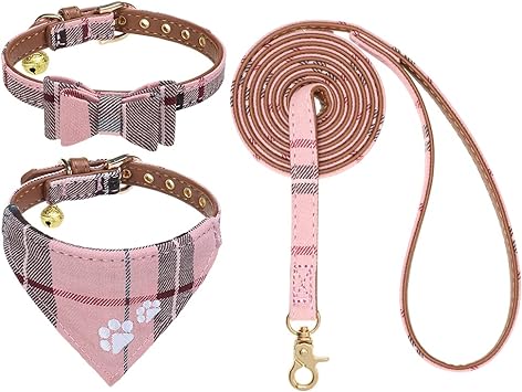 EXPAWLORER Dog Collar and Lead Set