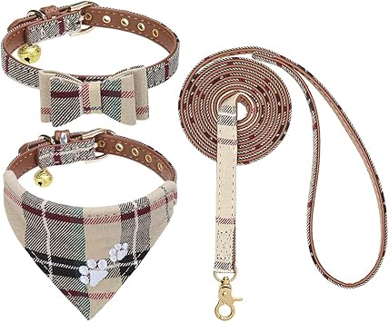 EXPAWLORER Dog Collar and Lead Set