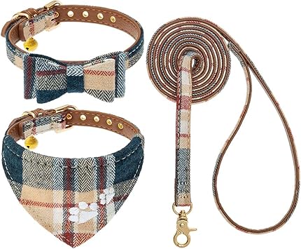 EXPAWLORER Dog Collar and Lead Set