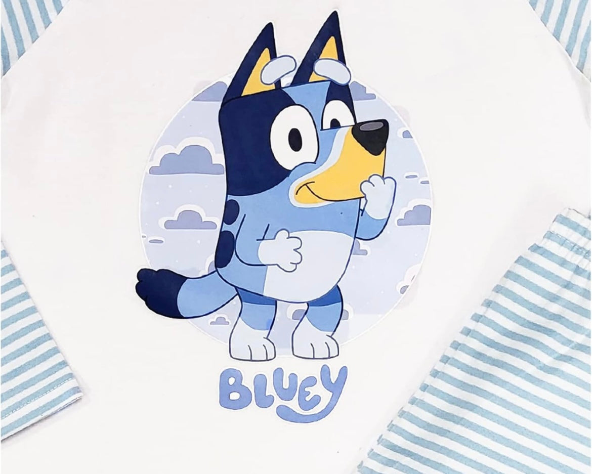 Bluey Boys Pyjamas Character Nightwear