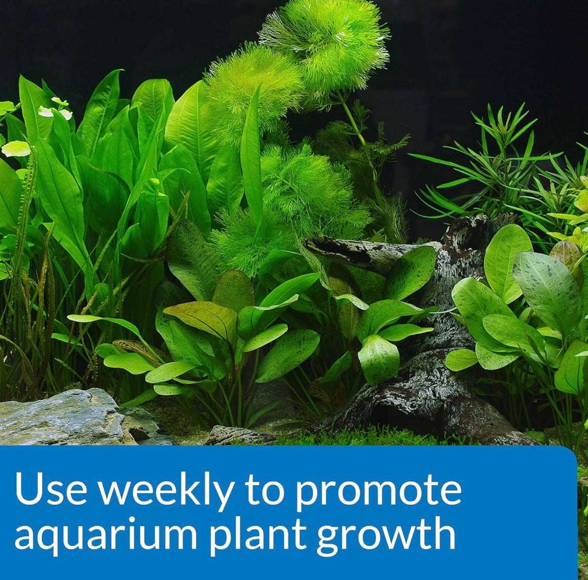 Aquarium Plant Fertilizer