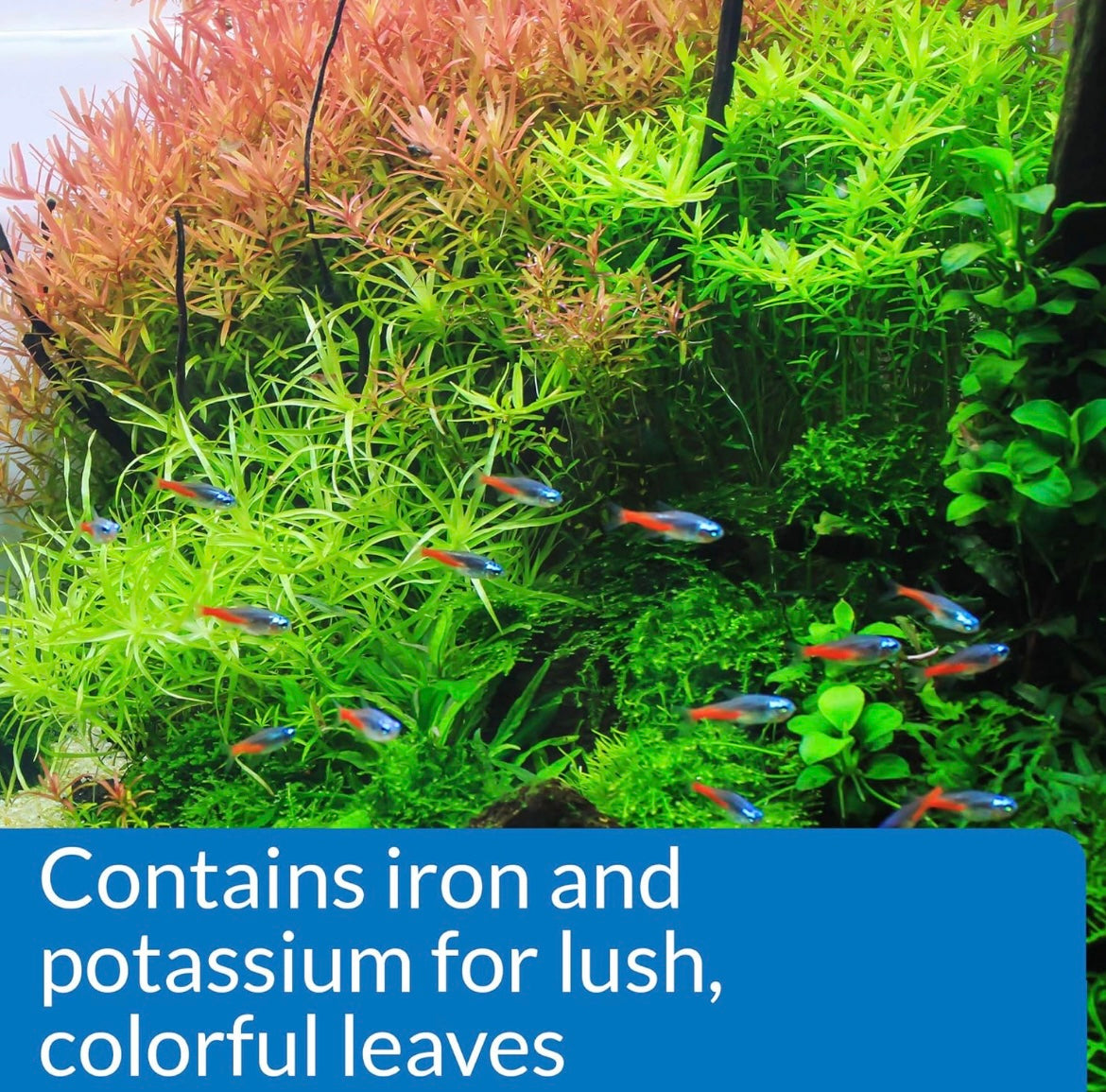 Aquarium Plant Fertilizer