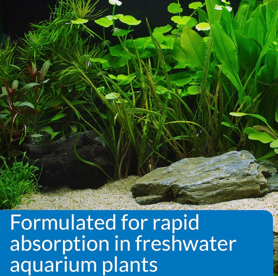 Aquarium Plant Fertilizer