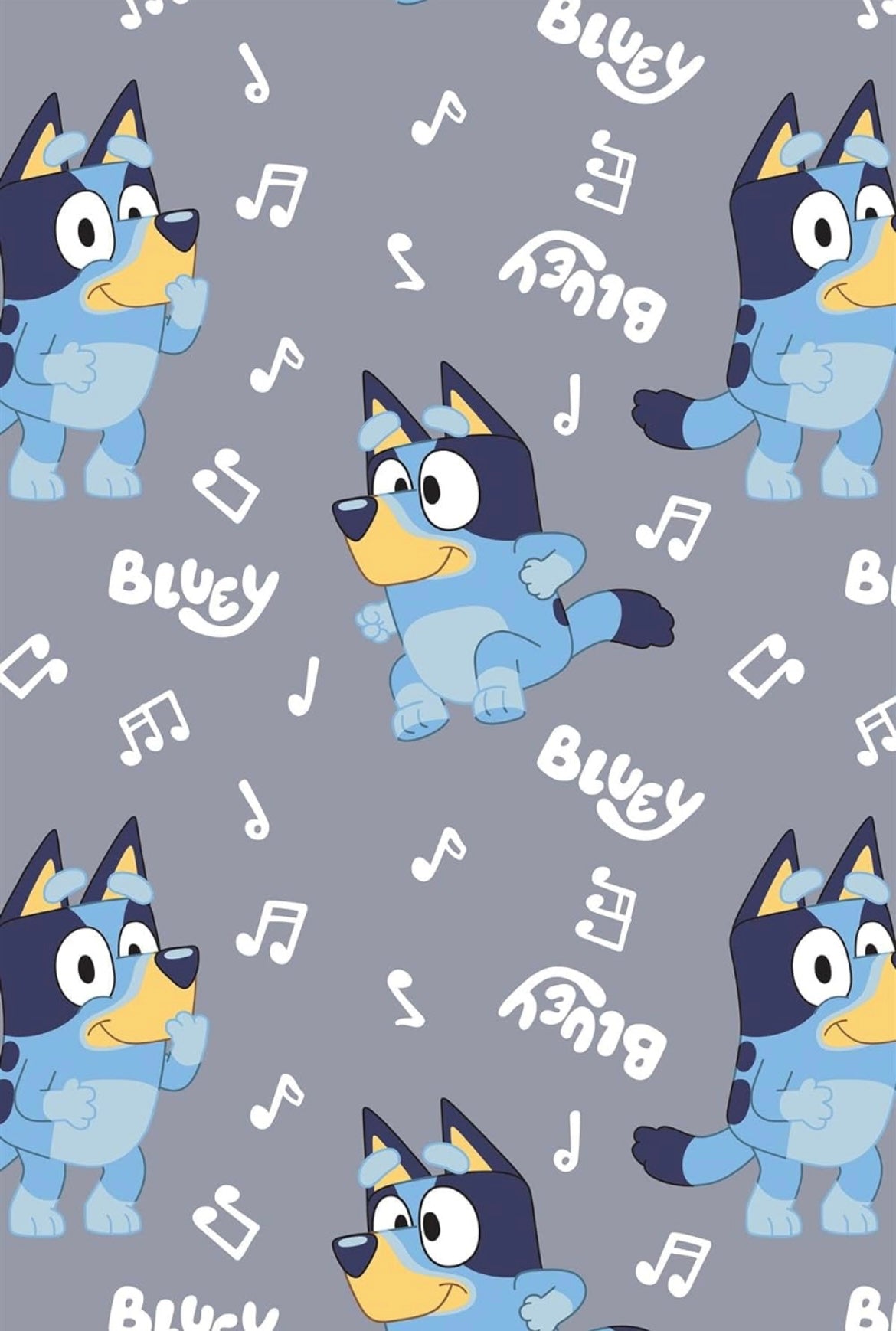 Bluey Fleece Blanket