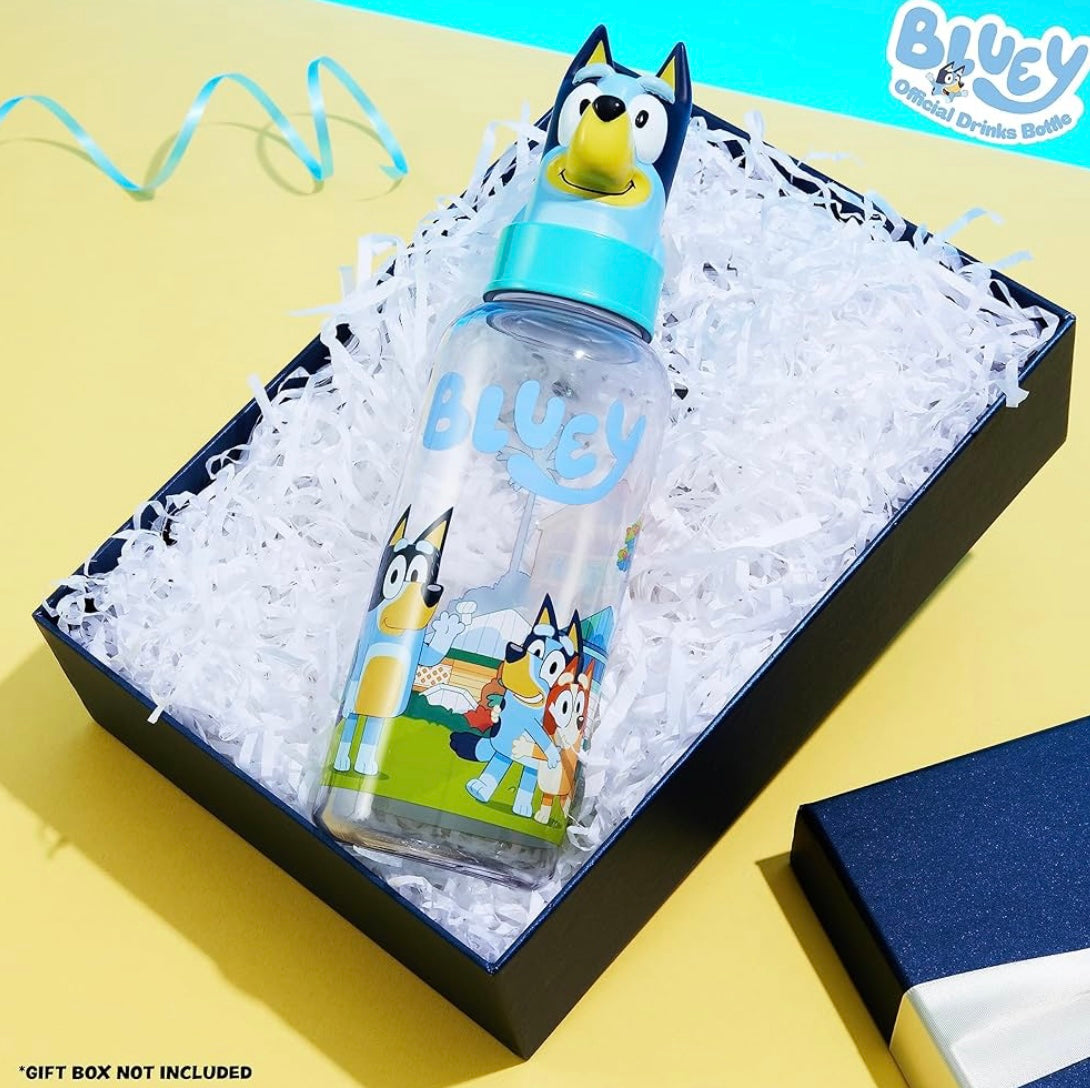 Bluey Water Bottle Kids