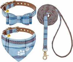 EXPAWLORER Dog Collar and Lead Set