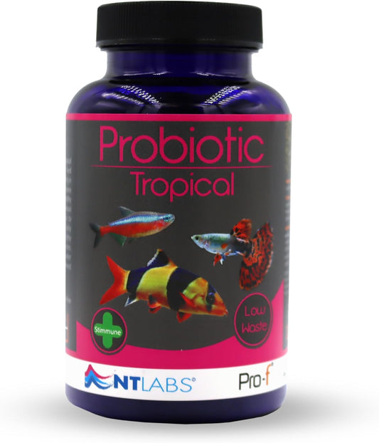 NT Labs Pro-F Probiotic Tropical Fish Food For Freshwater Tropical Fish (Contain Viable Probiotic Cultures) Granules For Tropical Aquariums, Supports Immune System, Highly Nutritious Spirulina