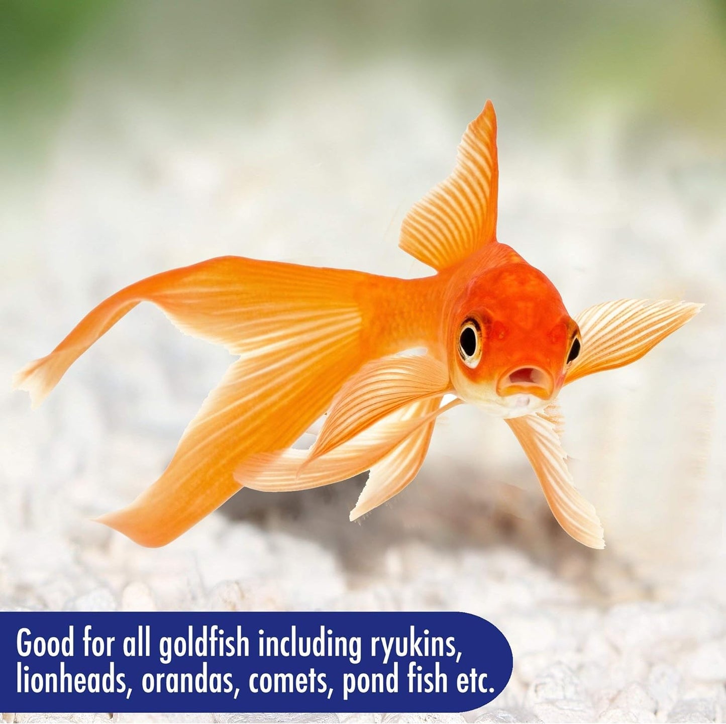 Complete Nutrition, Aquarium Goldfish Food, Flakes Also Suitable for Small Pond Fish, 200 g Container